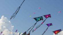 Jesolo Beach & Kite 2027